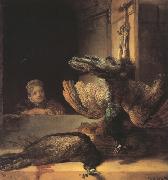 Still life with two dead Peacocks and a Girl (mk33) REMBRANDT Harmenszoon van Rijn